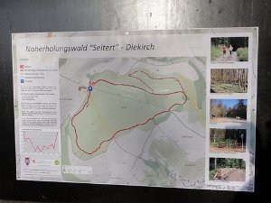 Diekirch 18.1.2015