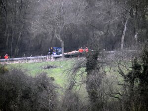 Buerg opriichten 14.2.2016