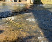 Bréck 2.10.2025 012