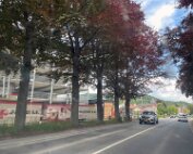 Diekirch 21.5.2025 0029