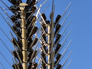 Konscht beim Séi 11.5.2025